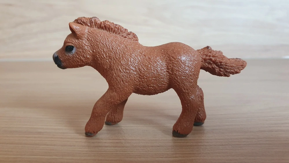 Shetlandský poník 13777, model 2014