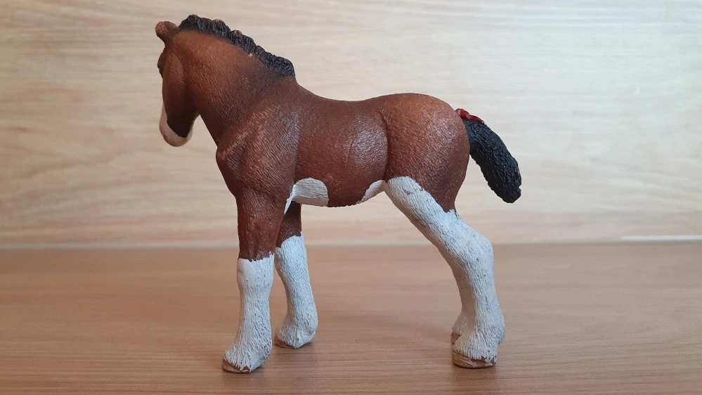 Clydesdale hříbě 13810, model 2015