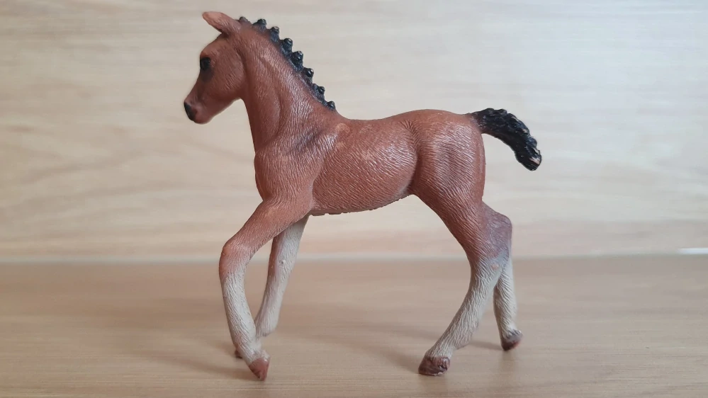 Hannoverské hříbě 13818, model 2016