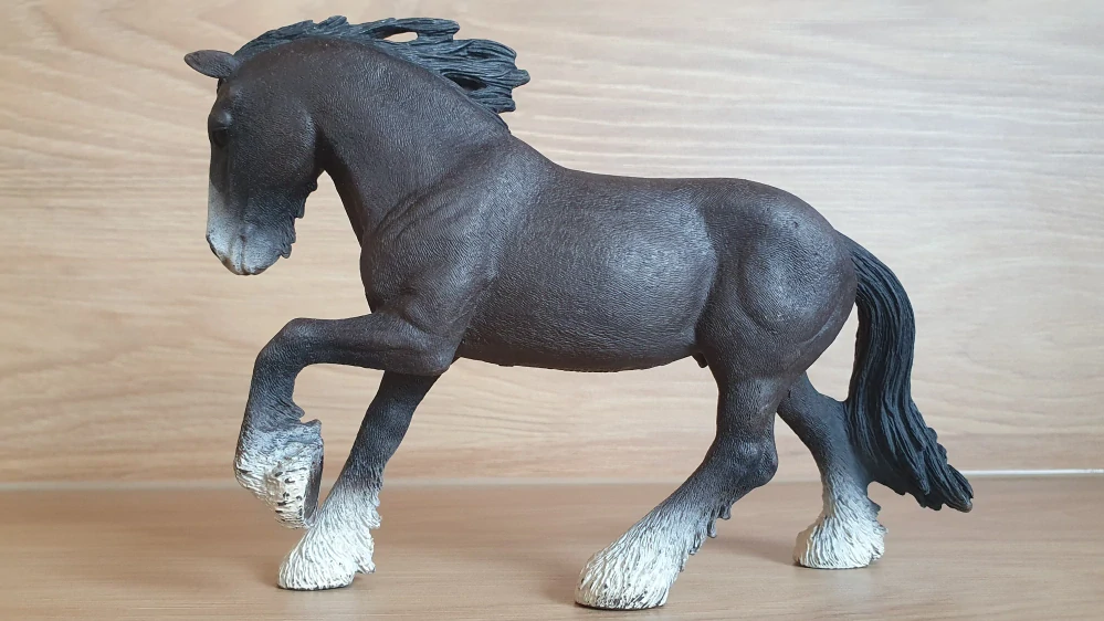 Hřebec shirský 13734, model 2012