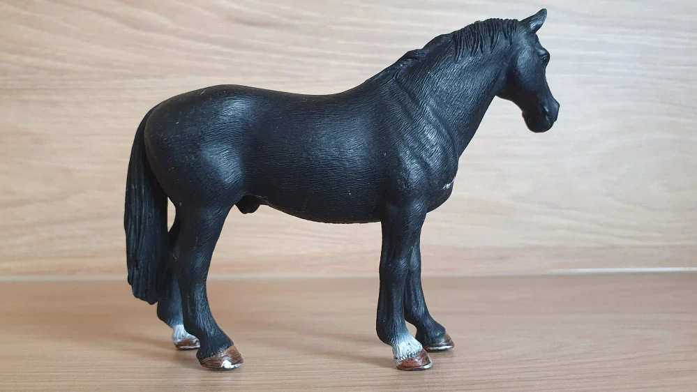 Tennessee valach mimochodník černý 13832, model 2016