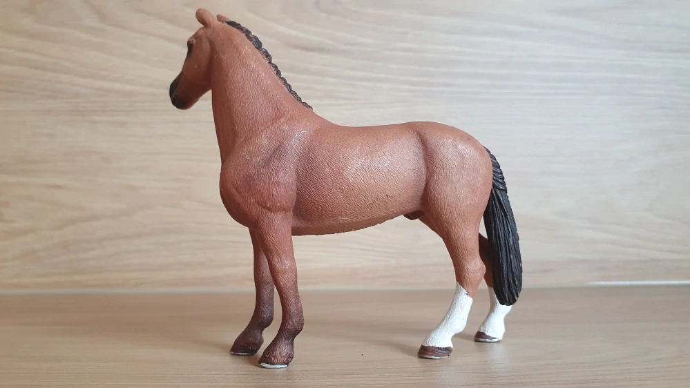 Hannoverský valach 13837, model 2016