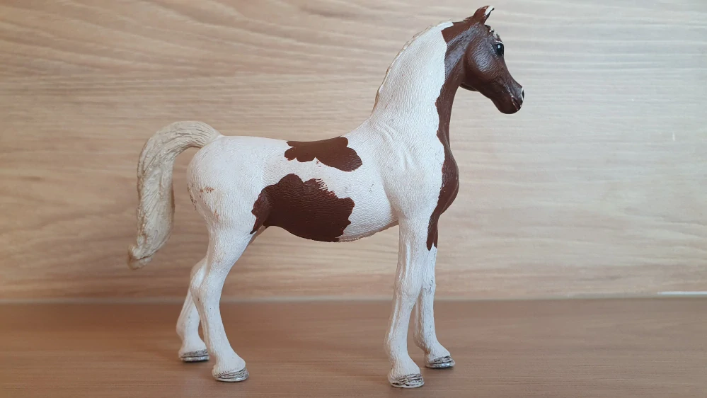 Pintabian klisna  13838, model 2016