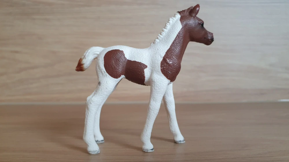 Pintabian hříbě 13839, model 2016