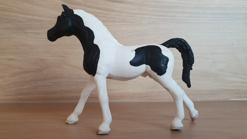 Arabský hřebec pinto 13840, model 2016
