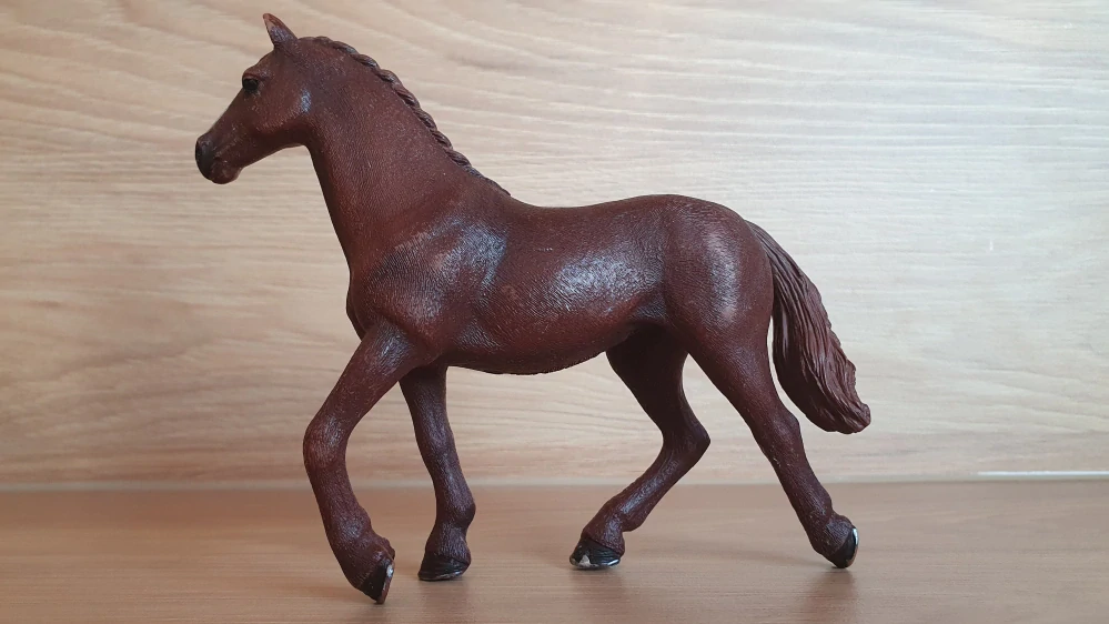 Anglický plnokrevník klisna 13855, model 2016