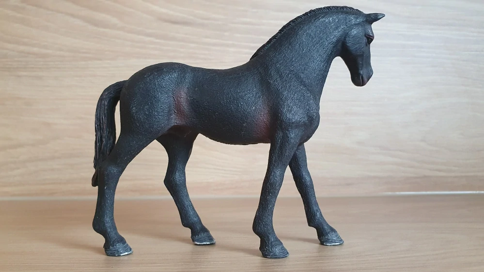 Anglický plnokrevník hřebec 13856, model 2017