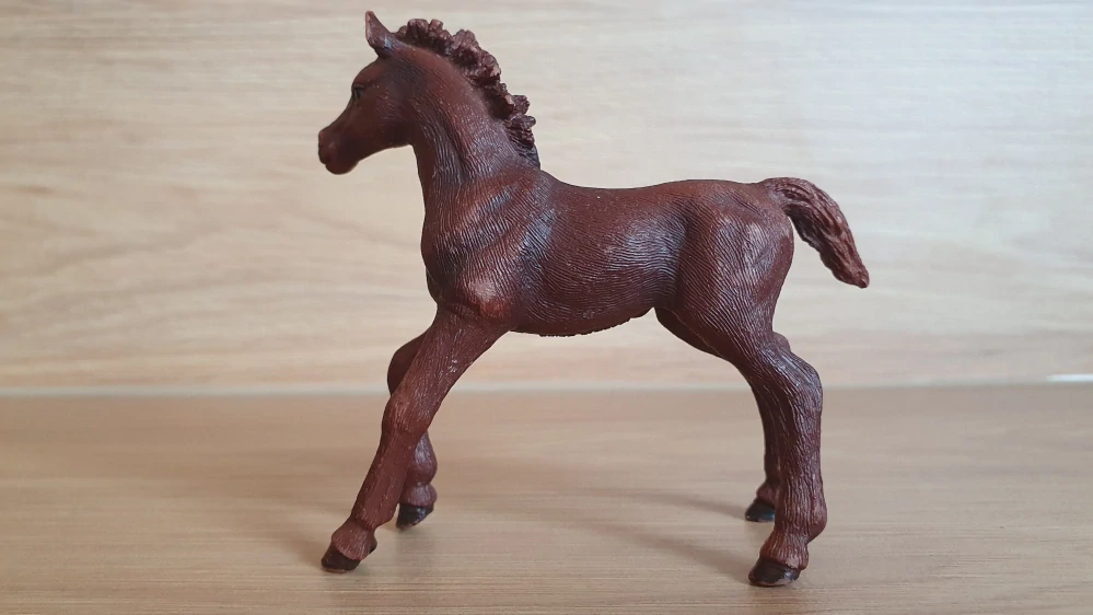 Anglický plnokrevník hříbě 13857, model 2016