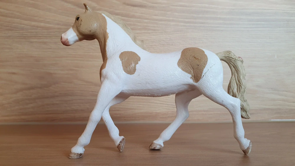 Hnědobílá  paint klisna  13884, model 2018
