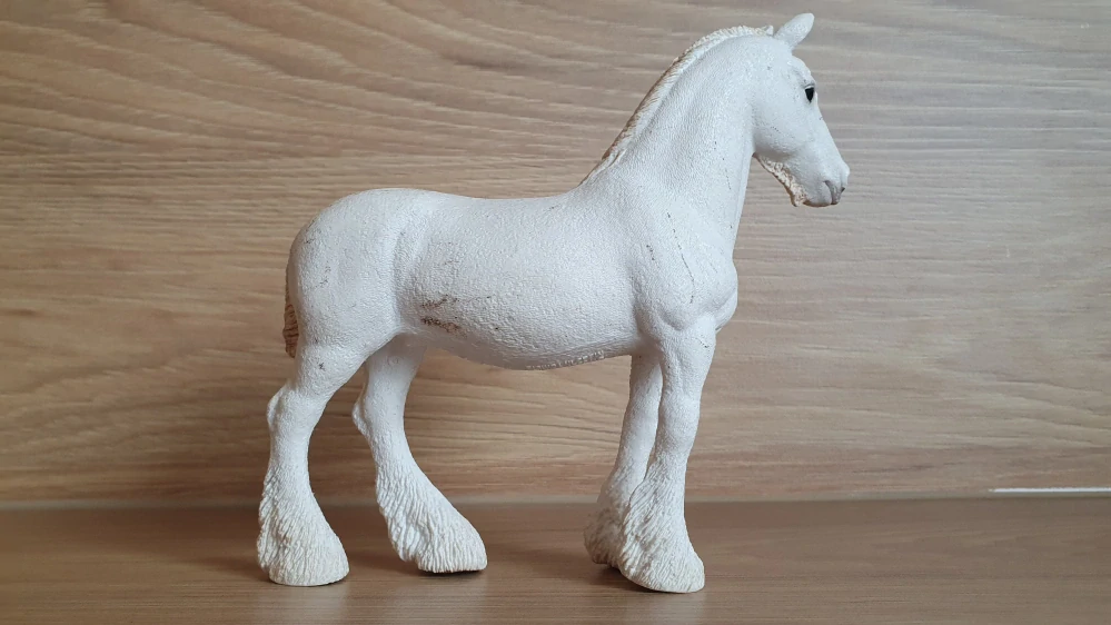 Klisna shirská 13735, model 2012