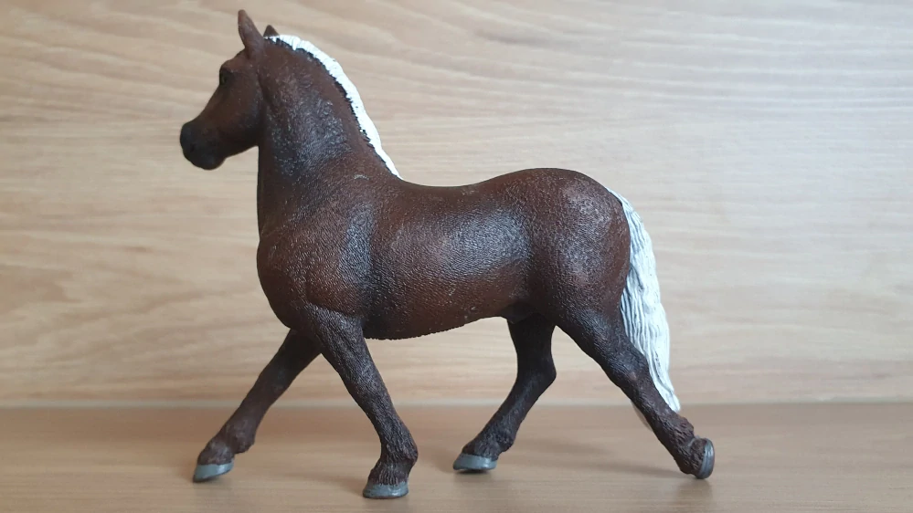 Černý lesní hřebec  13897, model 2019