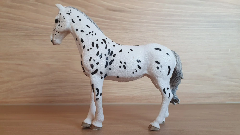 Knabstrupperská klisna  13910, model 2019