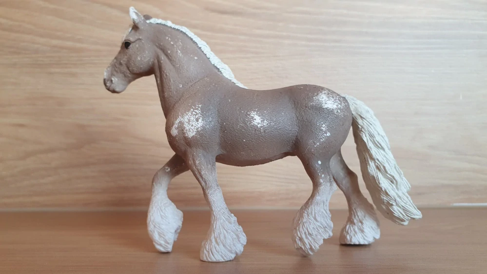 Silver dapple klisna 13914, model 2020