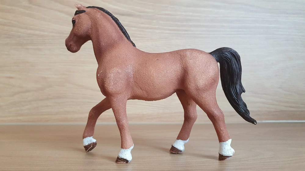 Quarter od Hannah  42411, model 2017