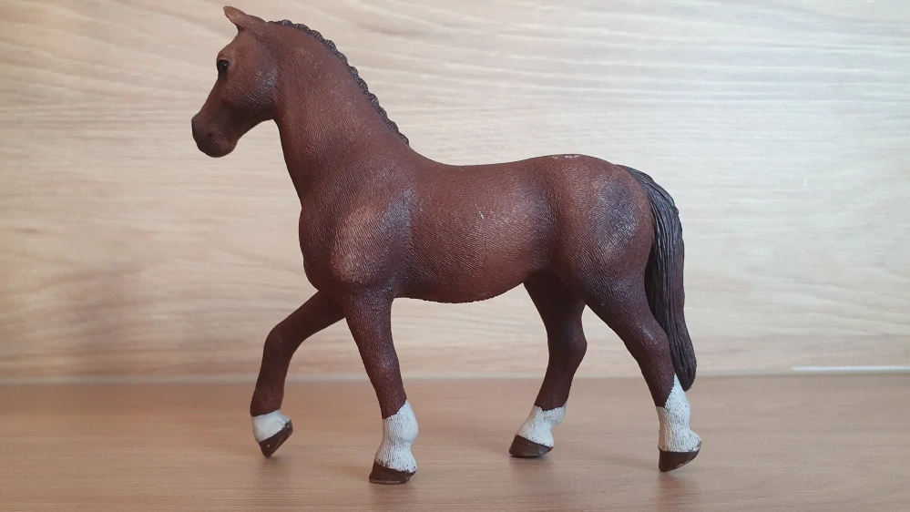 Quarter valach 42416, model 2017