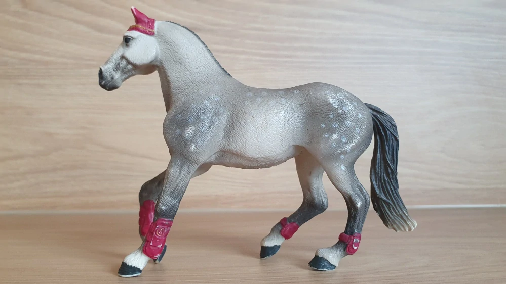 Trakehner klisna 42456, model 2018