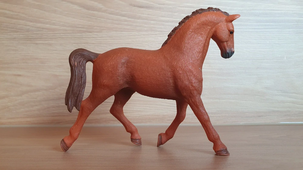 Holštýnská klisna Raja 42535, model 2016