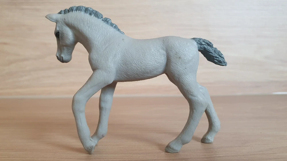 Trakehner hříbě 98269, model 2013