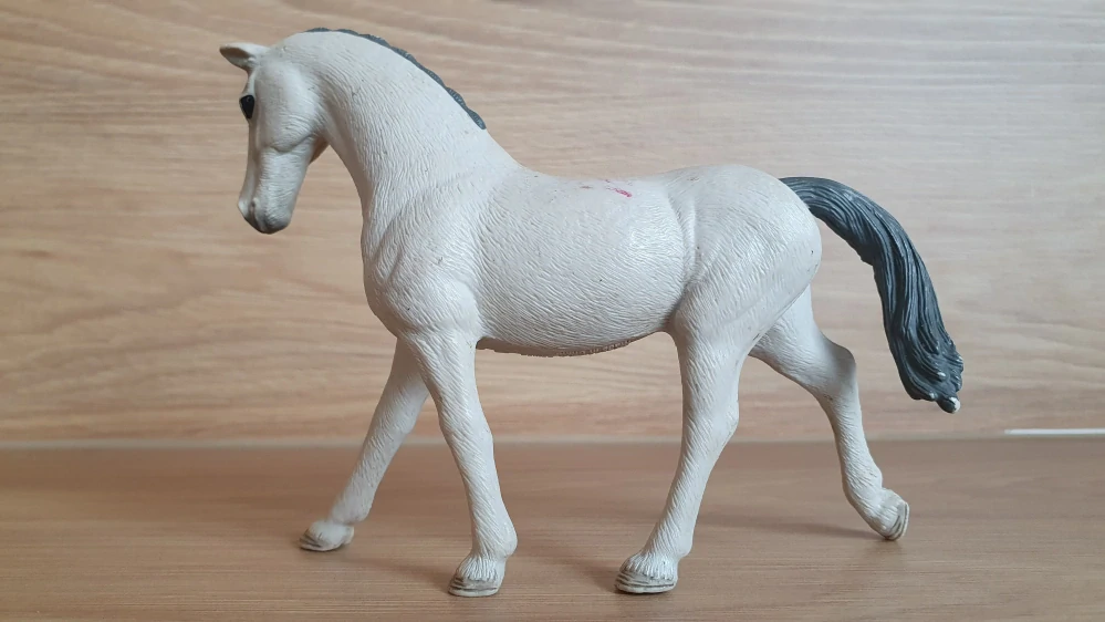 Trakehner klisna 98269, model 2018