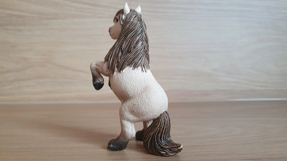 Shetlandský poník na zadních 13775, model 2014