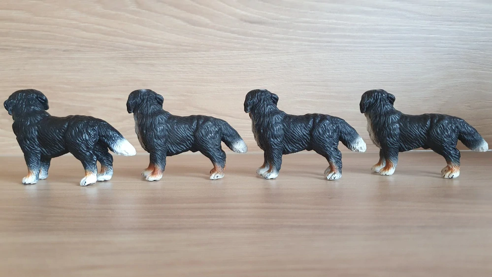 Bernský salašnický pes  16339, model 2004