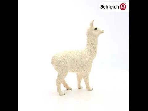 lama 13920, nové