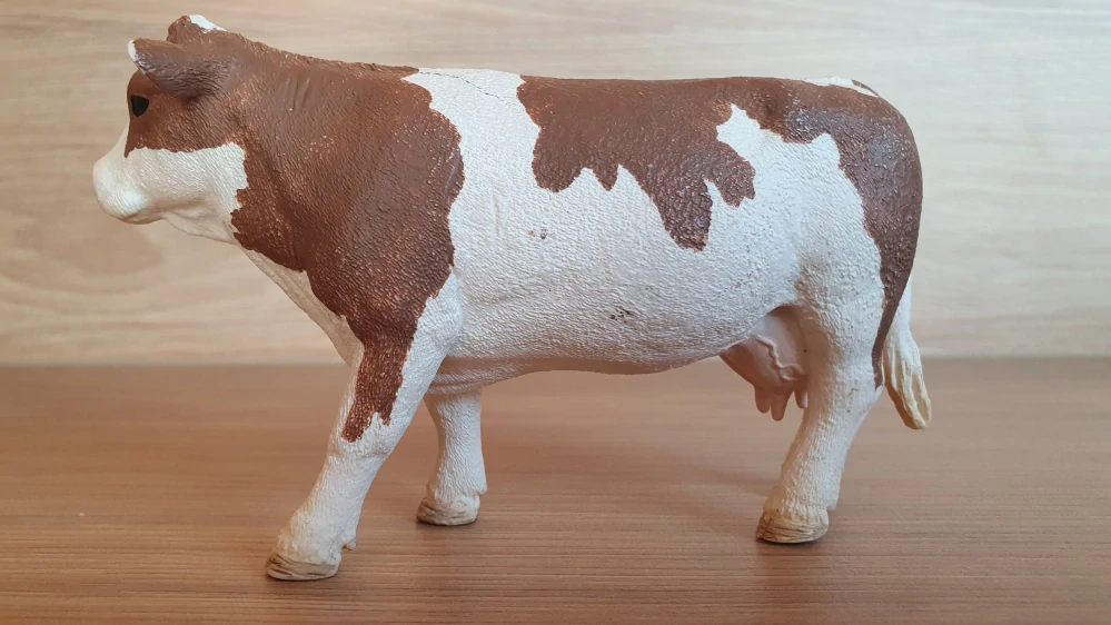 kráva Simmentálská 13801, model 2015
