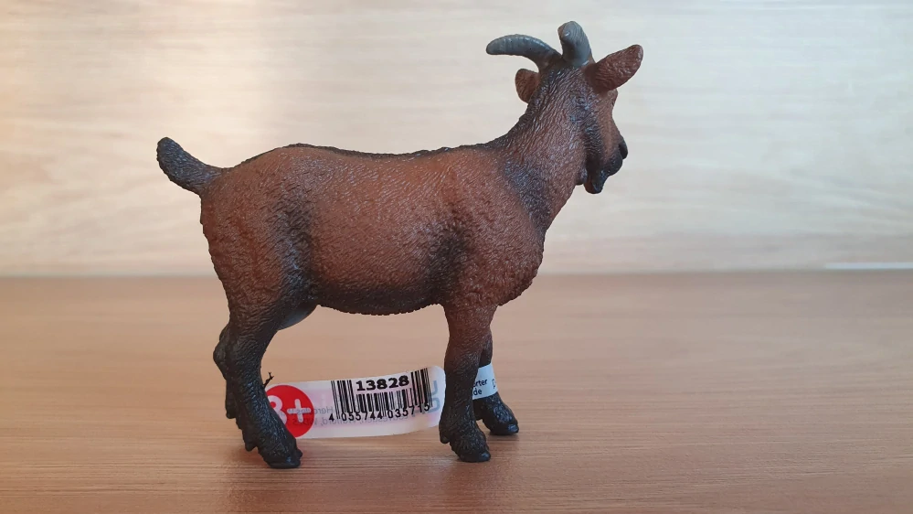 koza 13828, model 2016