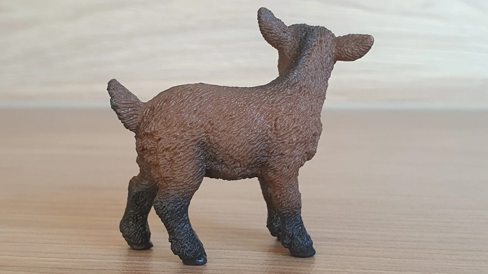 kůzle hnědé 13829, model 2016