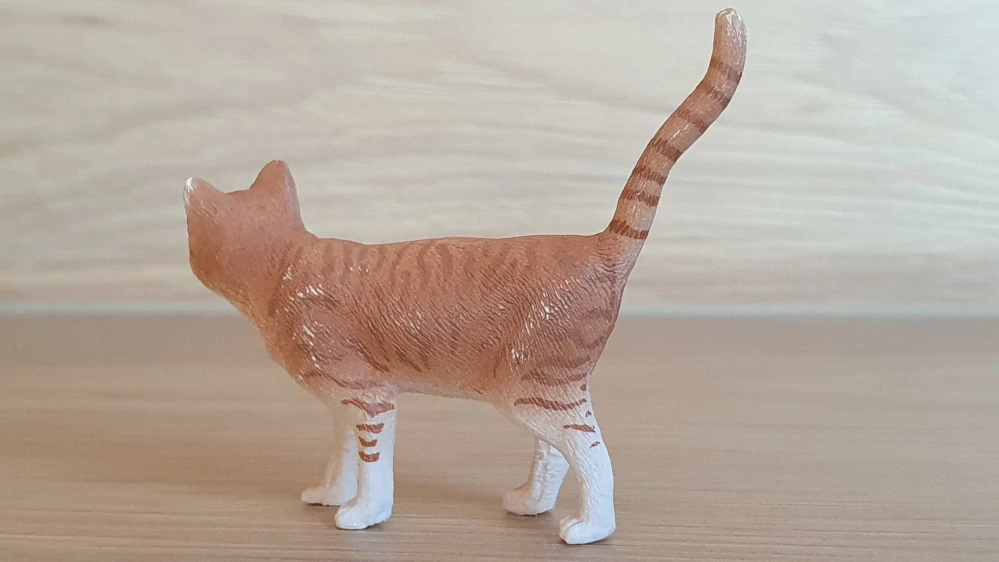 kočka rezavá 13836, model 2016