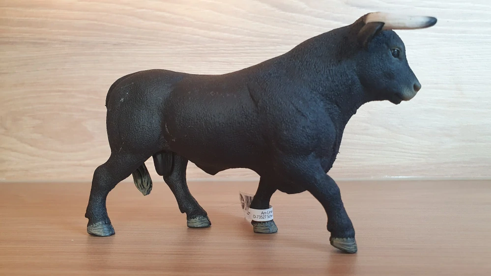 Černý býk 13875, model 2017