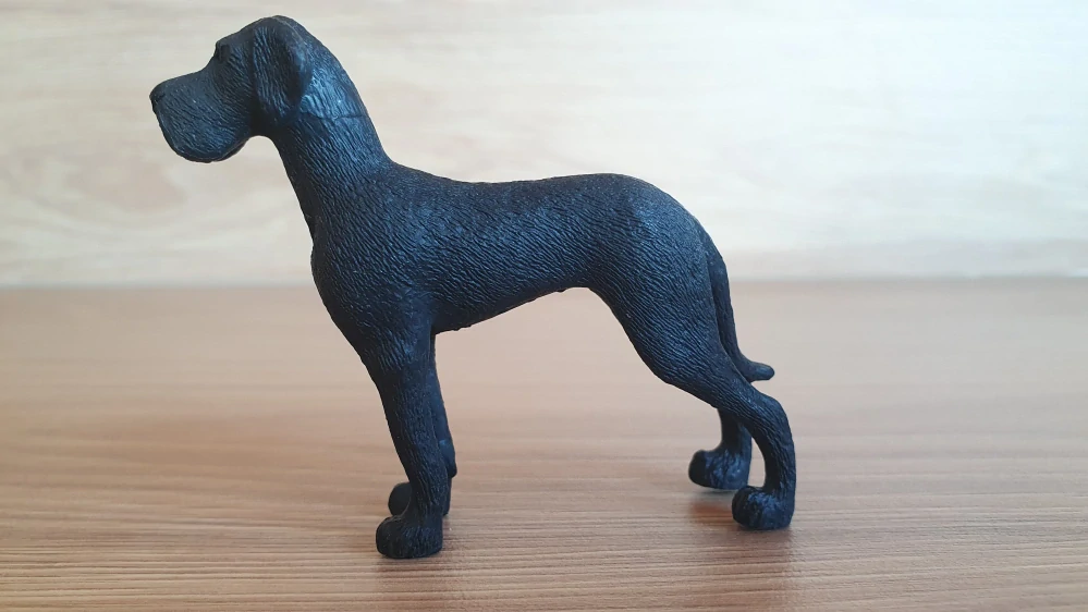 Německá doga  13962, model 2022