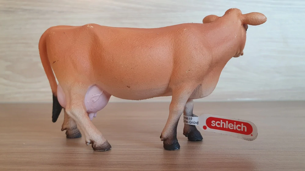 Jerseyská kráva 13967, model 2023
