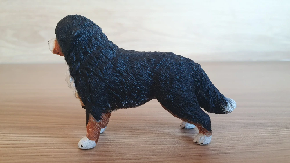 Bernský salašnický pes 16397, model 2013