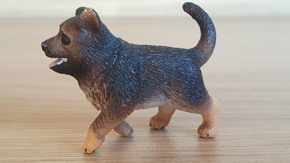 Německý ovčák štěně 16832, model 2014