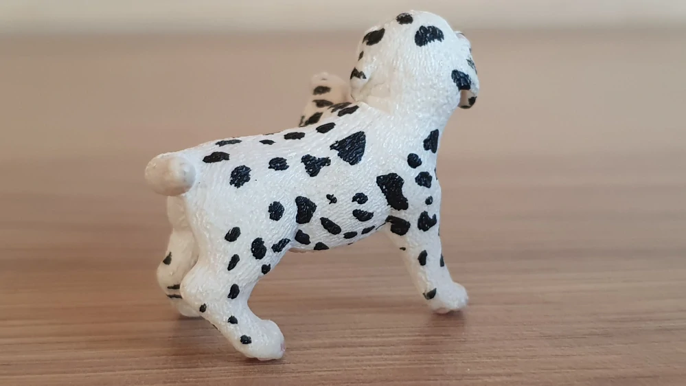 Dalmatin štěně 16839, model 2015