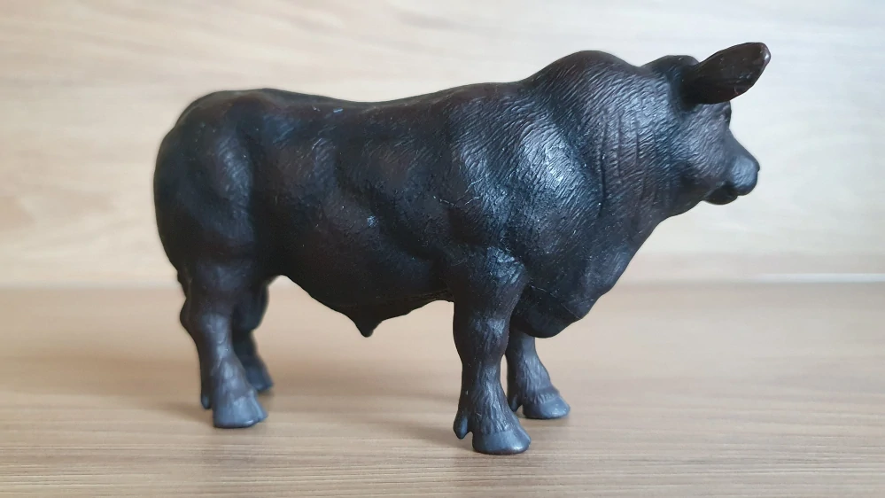 býk Anguský černý 13282, model 2003