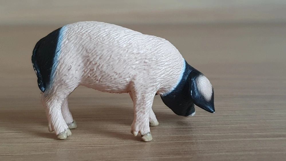sele švábské 13635, model 2007