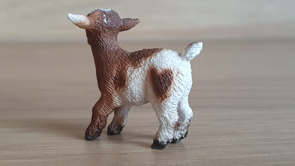 kůzle strakaté 13716, model 2011