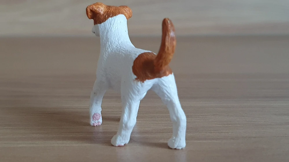 jack russel teriér 13916, model 2020