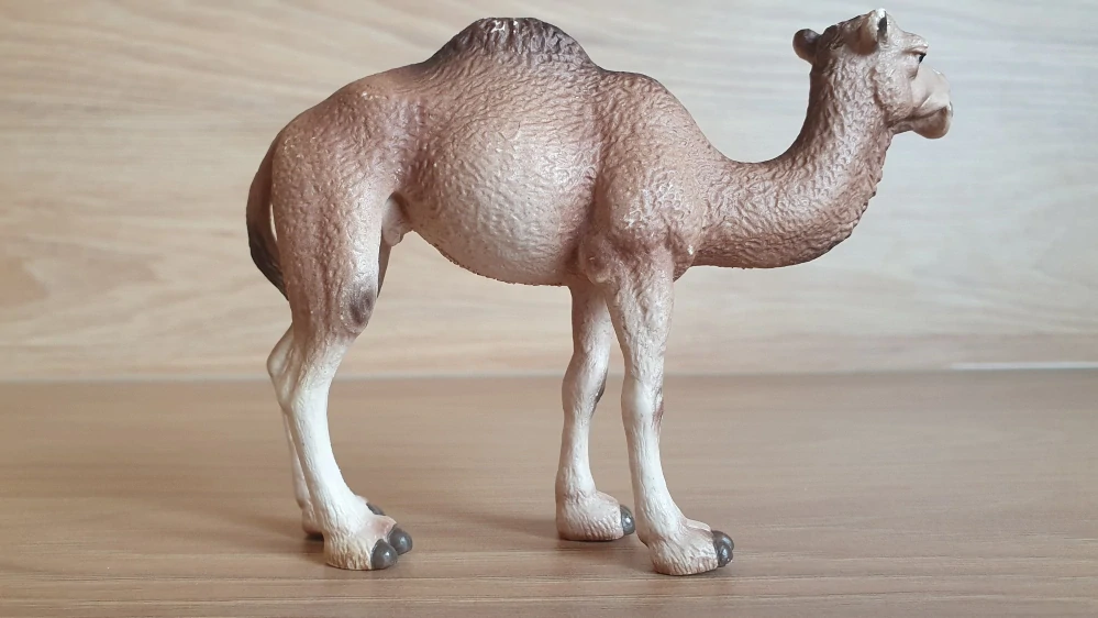 velbloud jednohrbý  14355, model 2005