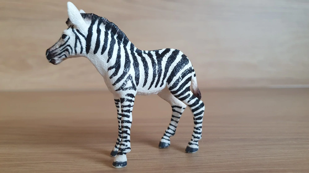 zebra mládě 14811, model 2017