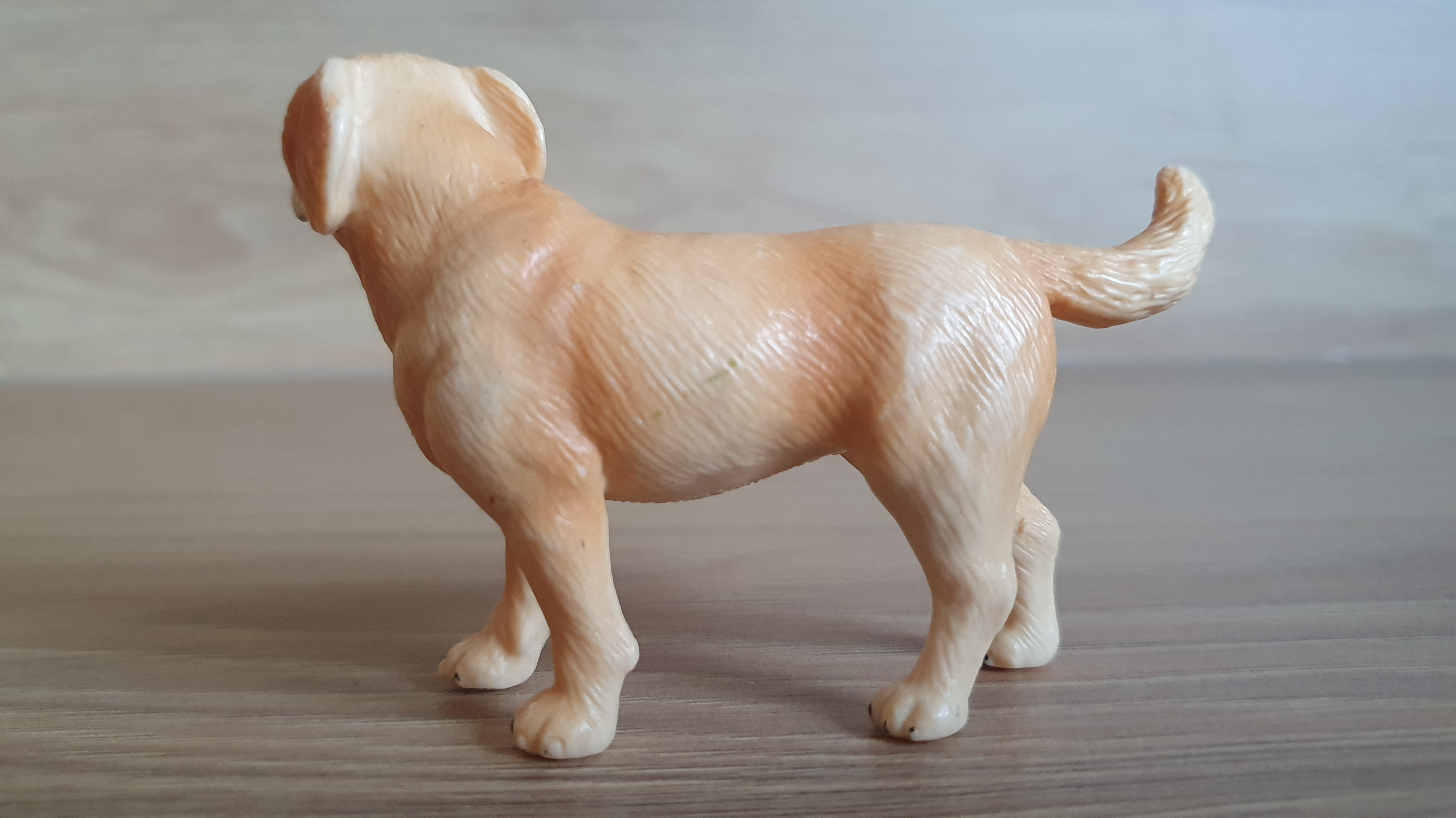 Labrador 16329, model 2001