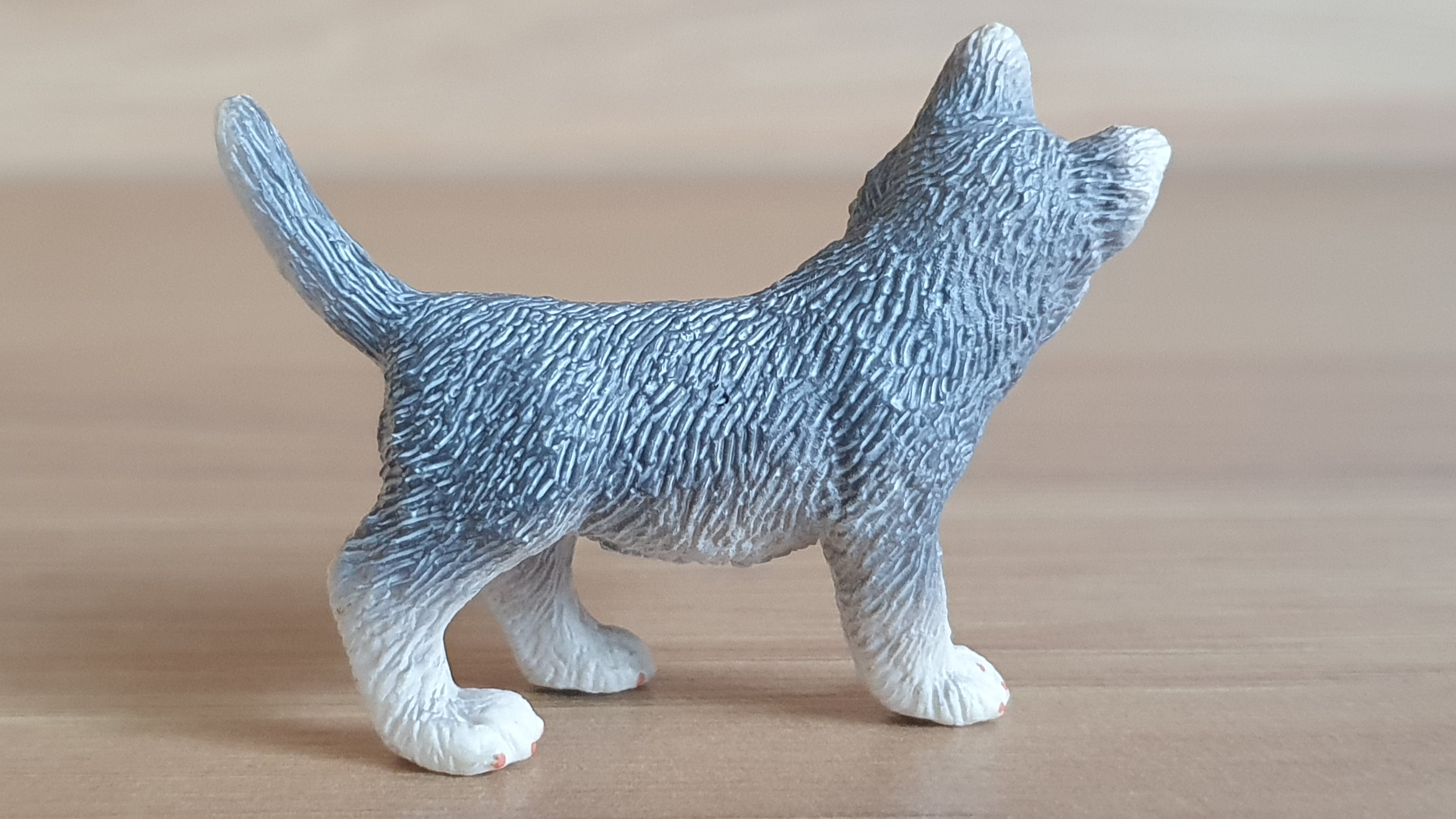 husky štěně 16373, model 2007