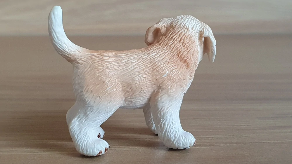 zlatý retrívr štěně 16378, model 2008