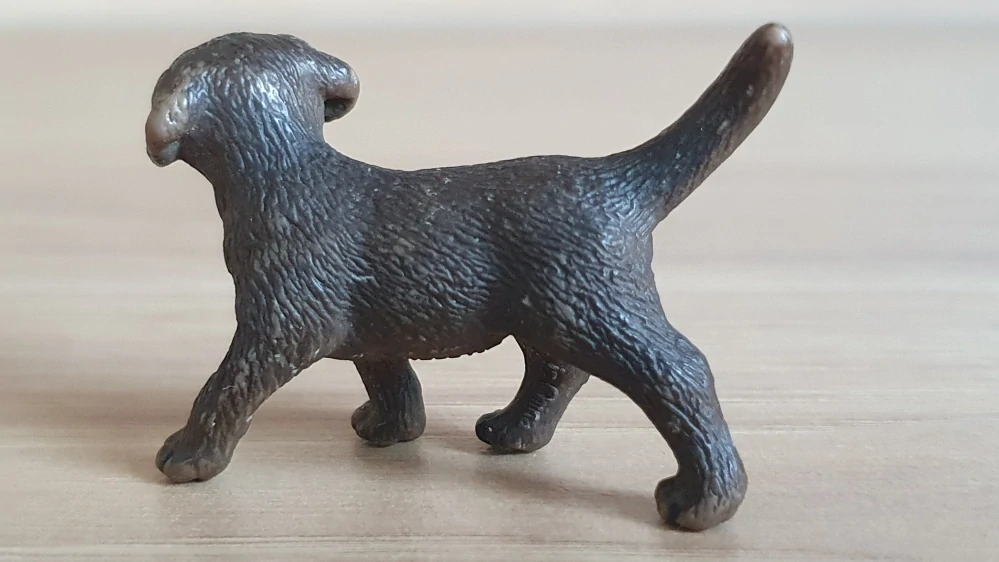 labrador hnědý štěně 16388, model 2009