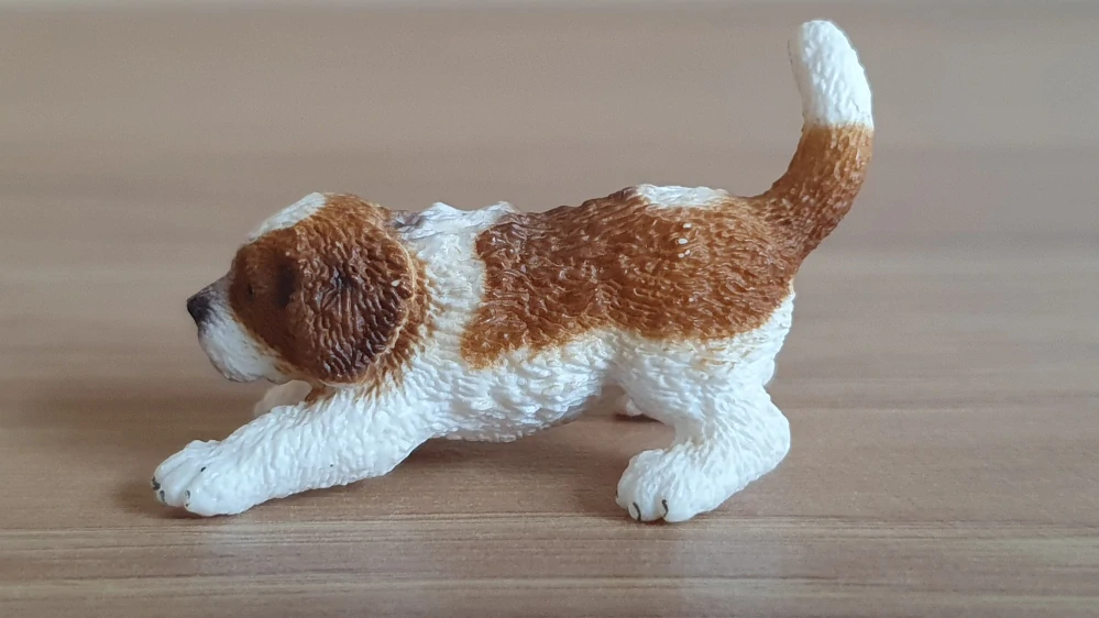 bernardýn štěně 16834, model 2014