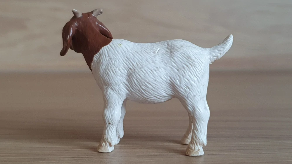 kůzle burské 13260, model 2001