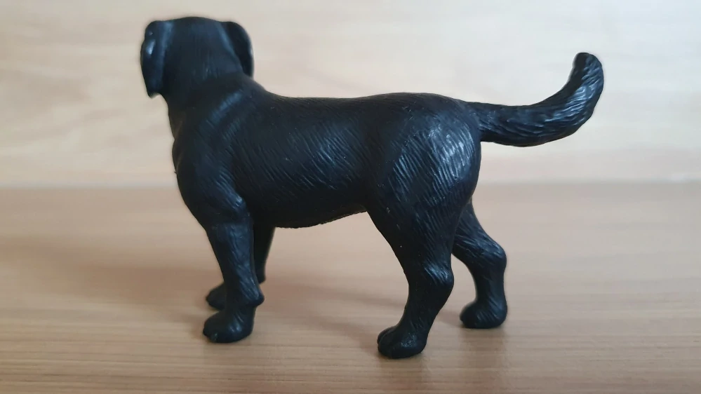 labrador černý 16327, model 2001