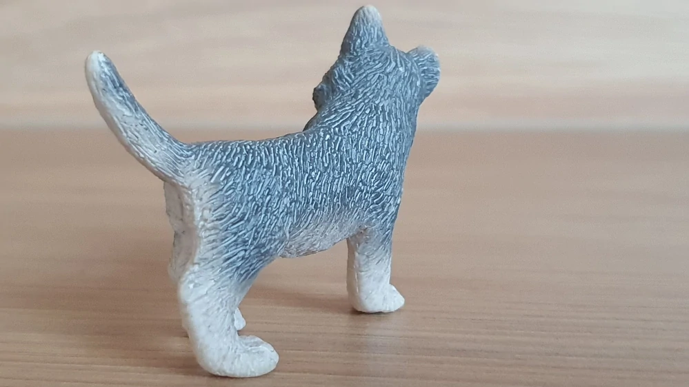 husky štěně 16373, model 2007